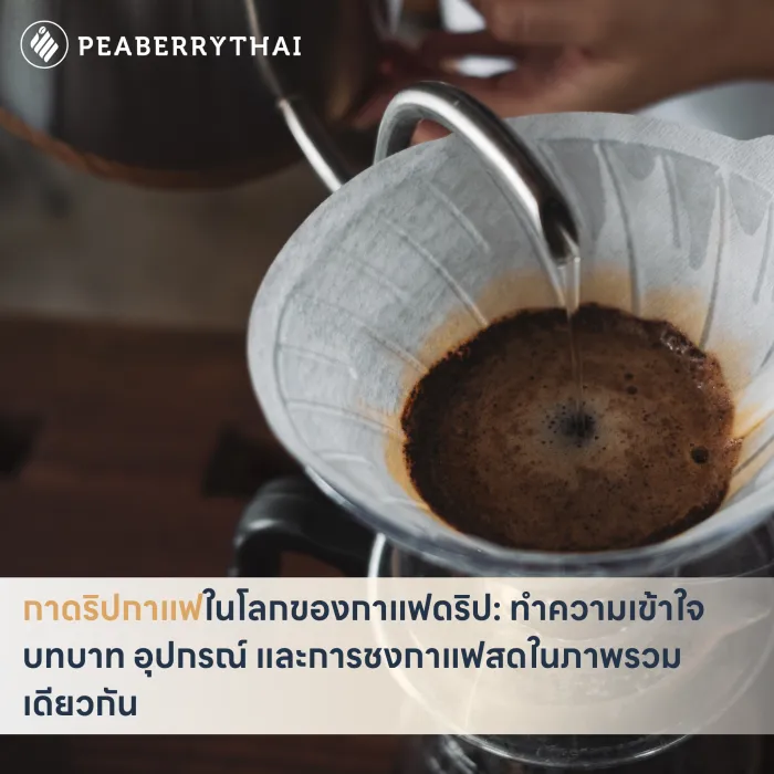 กาดริปกาแฟในโลกของกาแฟดริป_ ทำความเข้าใจบทบาท อุปกรณ์