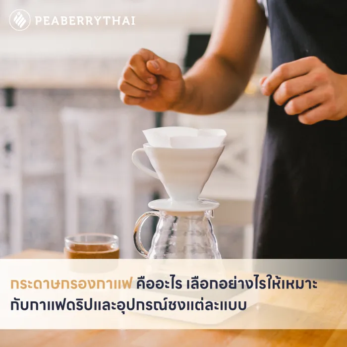  กระดาษกรองกาแฟ คืออะไร เลือกอย่างไรให้เหมาะกับกาแฟดริปและอุปกรณ์ชงแต่ละแบบ