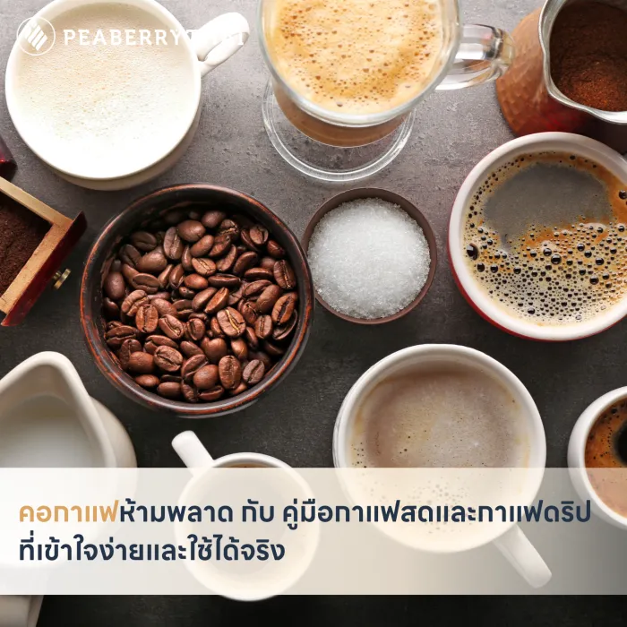 คอกาแฟห้ามพลาด กับ คู่มือกาแฟสดและกาแฟดริปที่เข้าใจง่ายและใช้ได้จริง