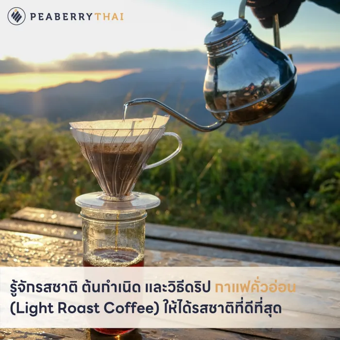 รู้จักรสชาติ ต้นกำเนิด และวิธีดริป กาแฟคั่วอ่อน (Light Roast Coffee) ให้ได้รสชาติที่ดีที่สุด