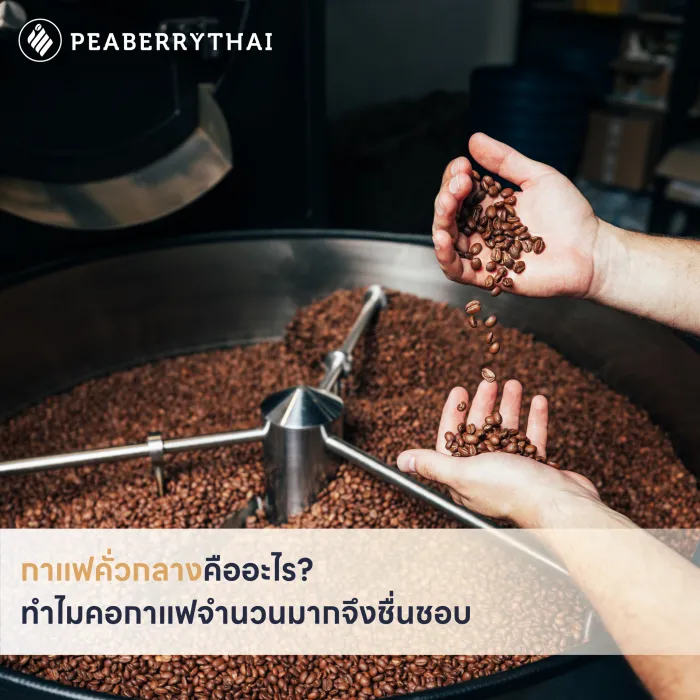 กาแฟคั่วกลางคืออะไร_ ทำไมคอกาแฟจำนวนมากจึงชื่นชอบ