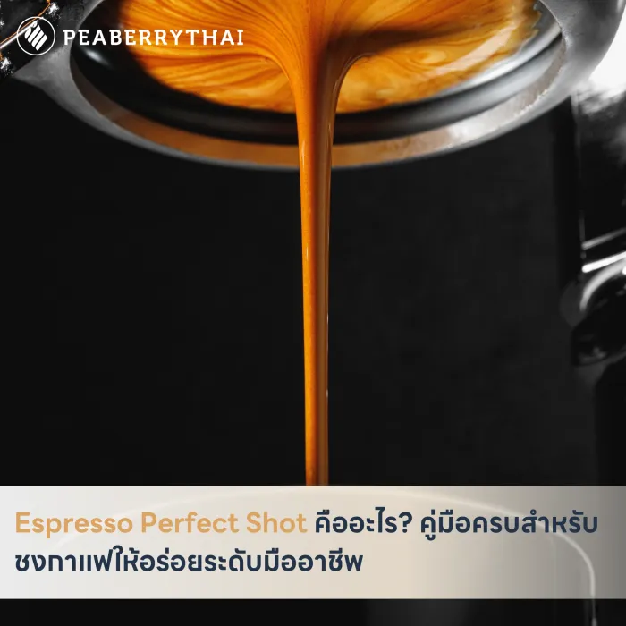  Espresso Perfect Shot คืออะไร_ คู่มือครบสำหรับชงกาแฟให้อร่อยระดับมืออาชีพ