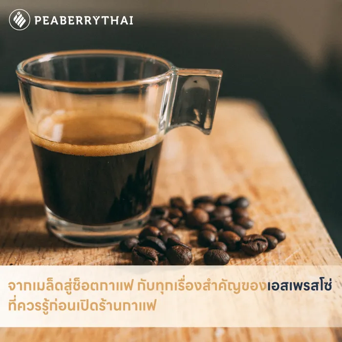 จากเมล็ดสู่ช็อตกาแฟ กับทุกเรื่องสำคัญของเอสเพรสโซ่ที่ควรรู้ก่อนเปิดร้านกาแฟ