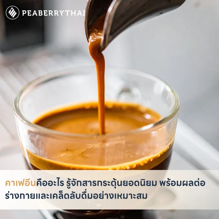 คาเฟอีนคืออะไร รู้จักสารกระตุ้นยอดนิยม พร้อมผลต่อร่างกายและเคล็ดลับดื่มอย่างเหมาะสม
