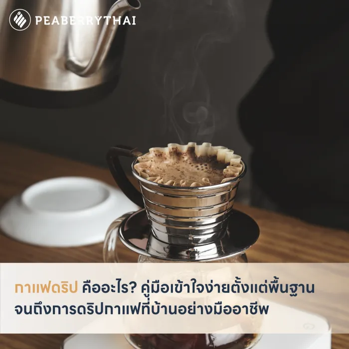 กาแฟดริป คืออะไร_ คู่มือเข้าใจง่ายตั้งแต่พื้นฐานจนถึงการดริปกาแฟที่บ้านอย่างมืออาชีพ