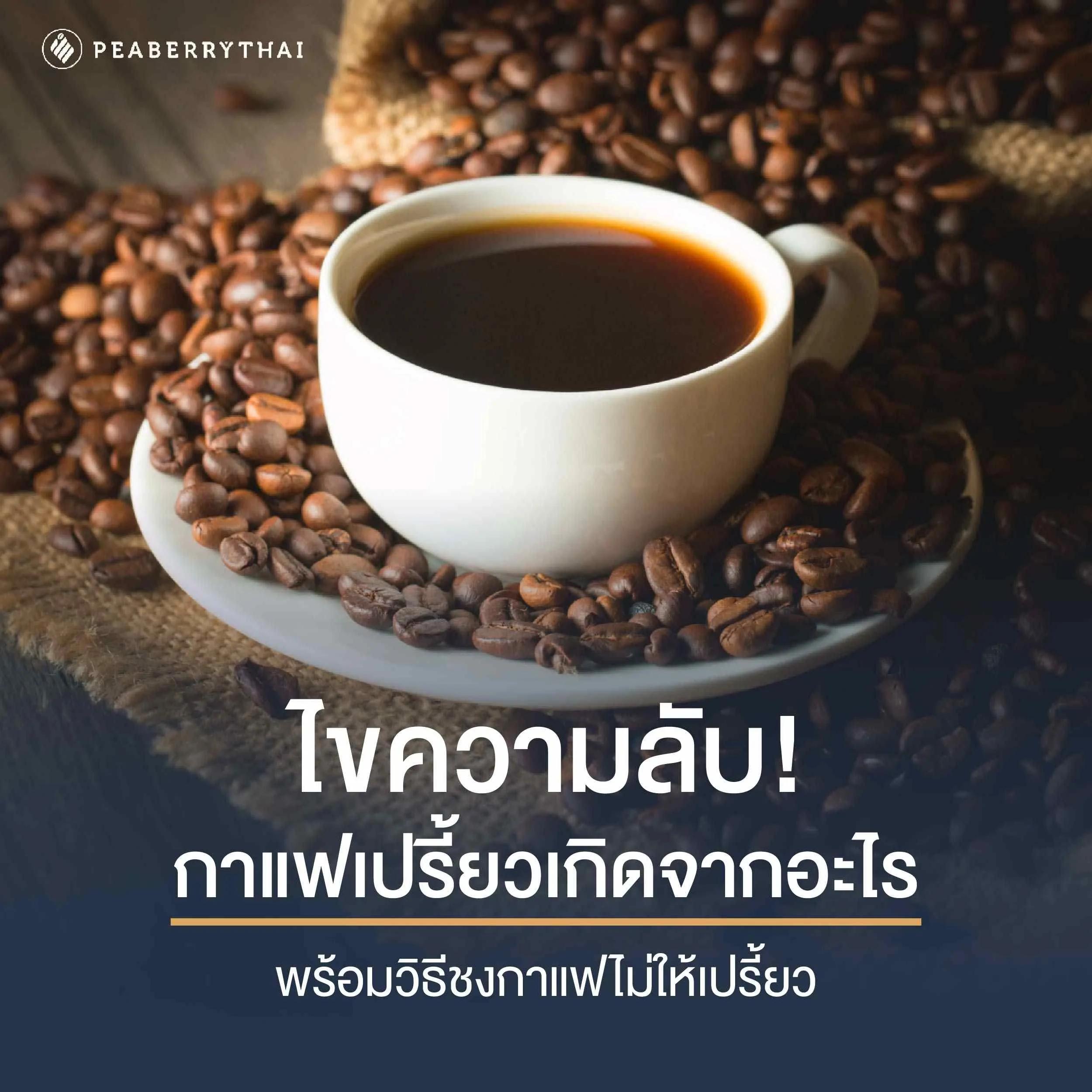 กาแฟเปรี้ยว เกิดจากอะไร