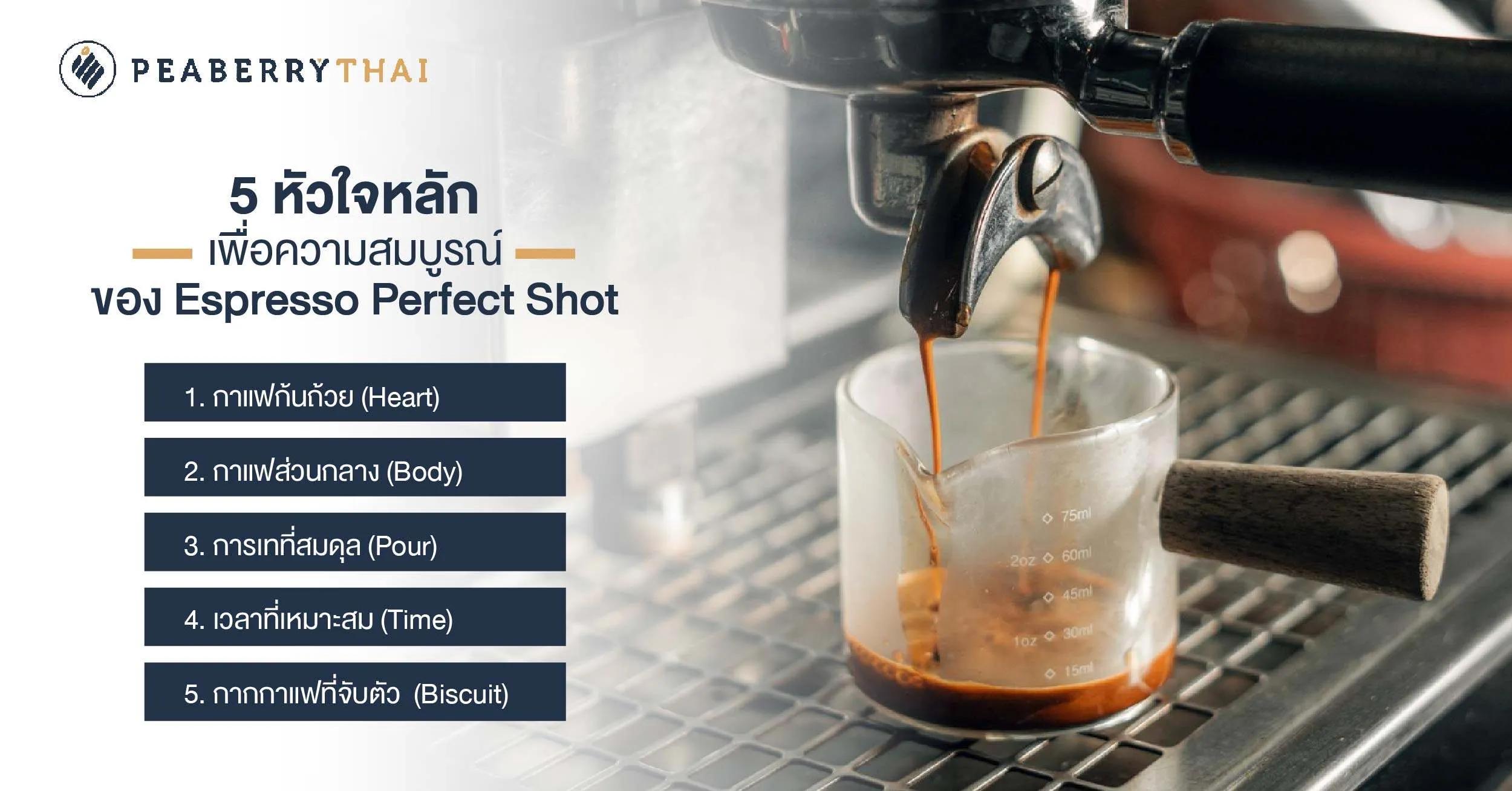 5 หัวใจหลัก เพื่อความสมบูรณ์ของ Espresso Perfect Shot