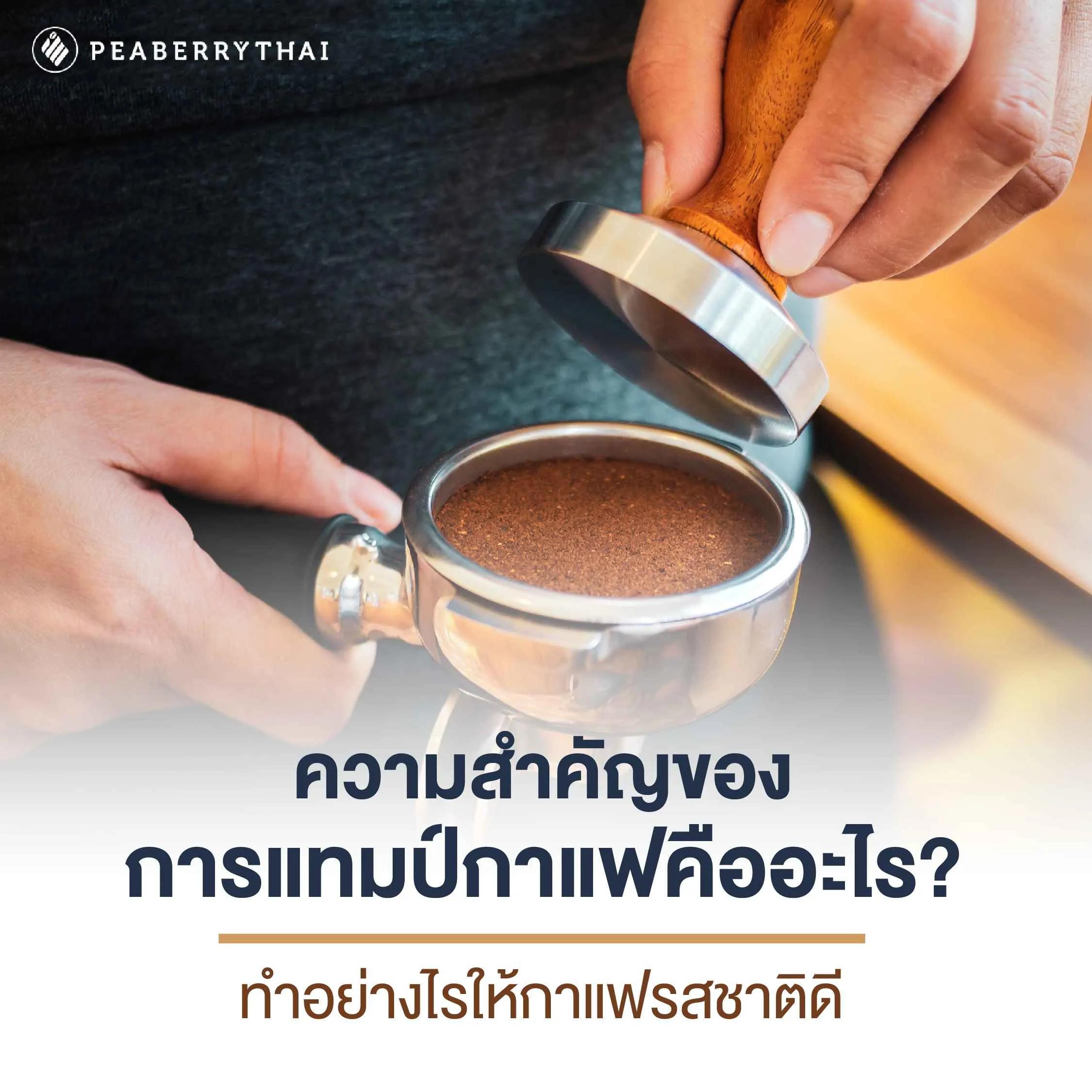 ความสำคัญของการแทมป์กาแฟคืออะไร? ทำอย่างไรให้กาแฟรสชาติดี