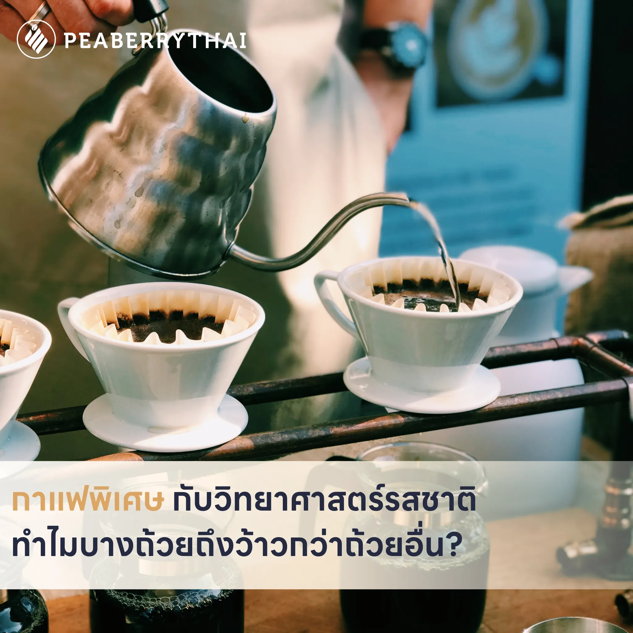 กาแฟพิเศษ กับวิทยาศาสตร์รสชาติ ทำไมบางถ้วยถึงว้าวกว่าถ้วยอื่น