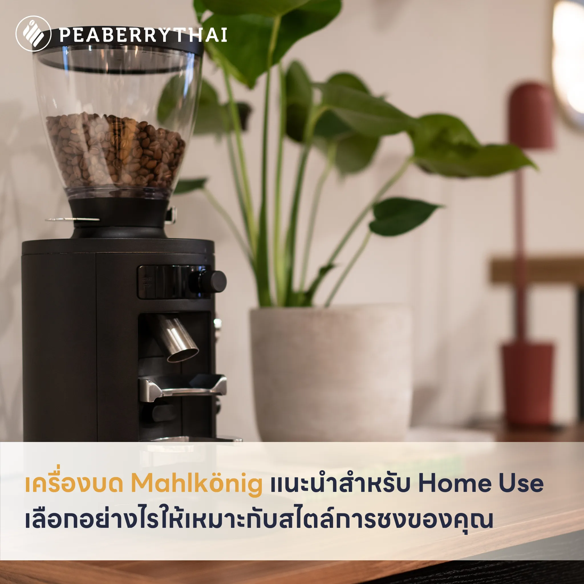 เครื่องบด Mahlkönig แนะนำสำหรับ Home Use เลือกอย่างไรให้เหมาะกับสไตล์การชงของคุณ