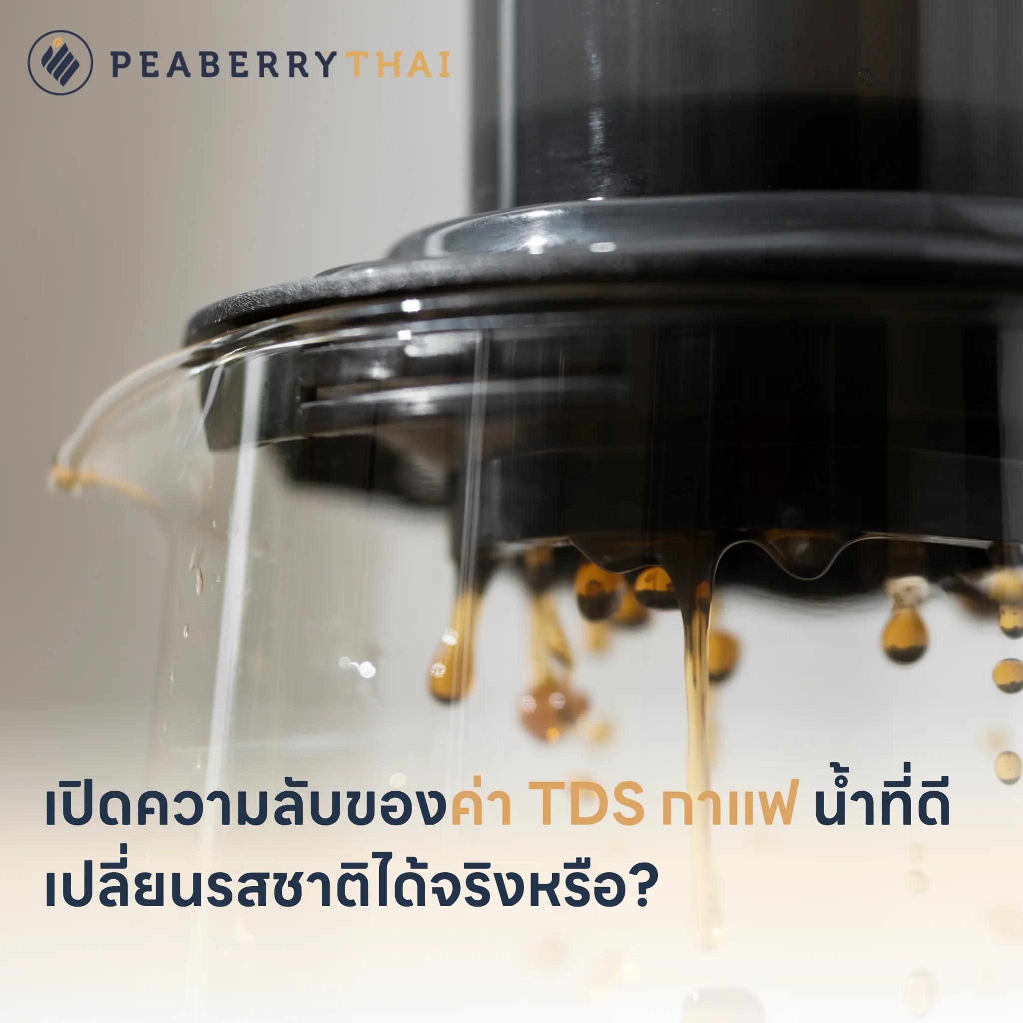 เปิดความลับของค่า TDS กาแฟ น้ำที่ดีเปลี่ยนรสชาติได้จริงหรือ