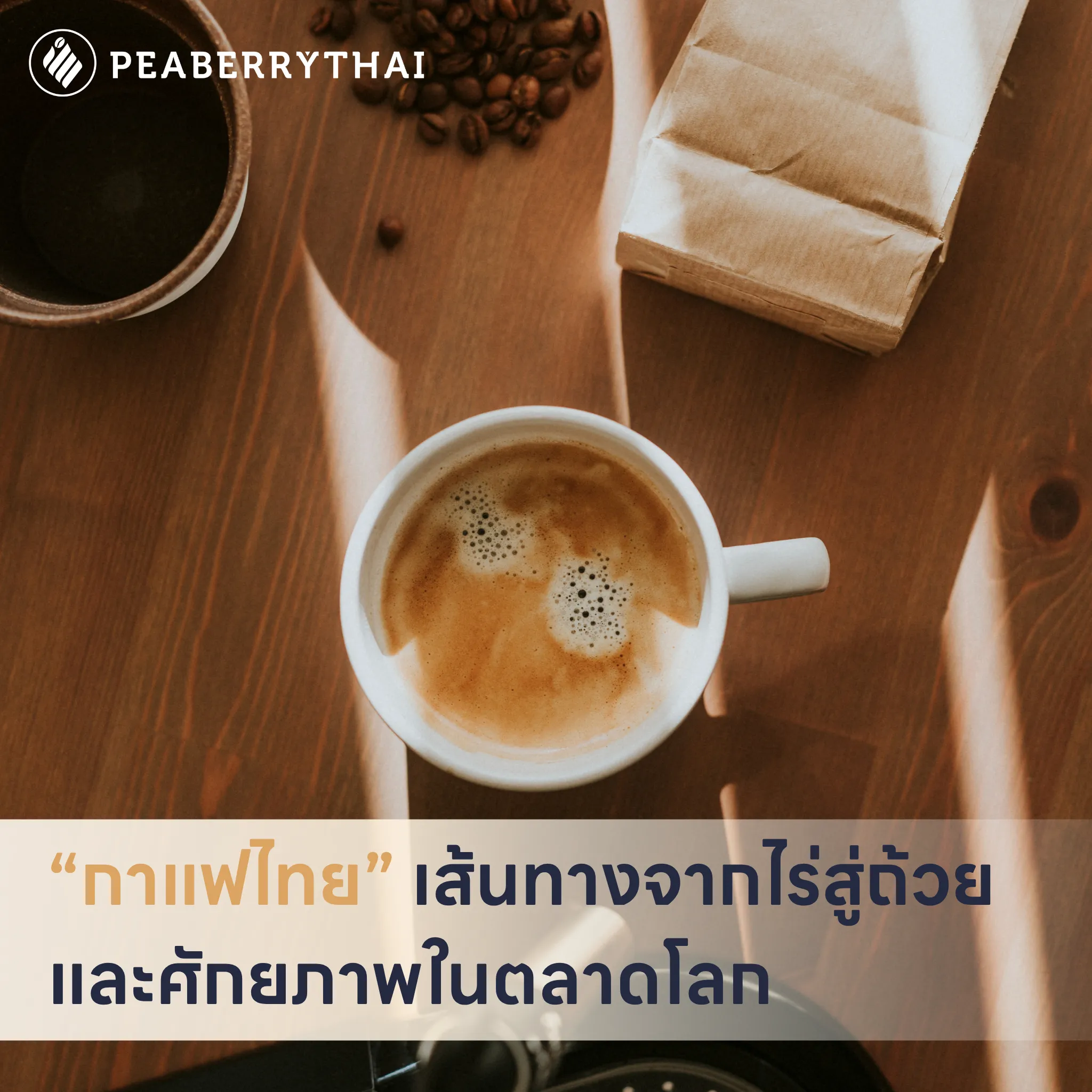  “กาแฟไทย” เส้นทางจากไร่สู่ถ้วย และศักยภาพในตลาดโลก