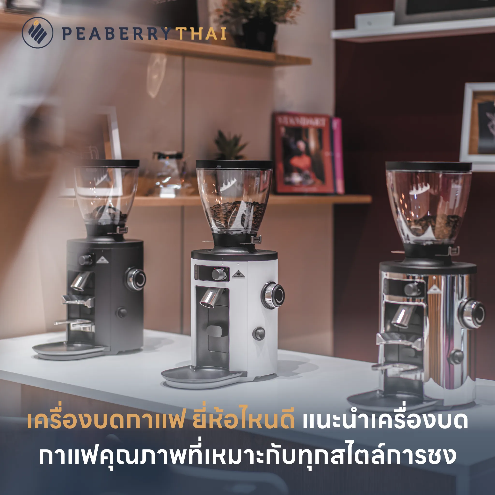 เครื่องบดกาแฟ ยี่ห้อไหนดี