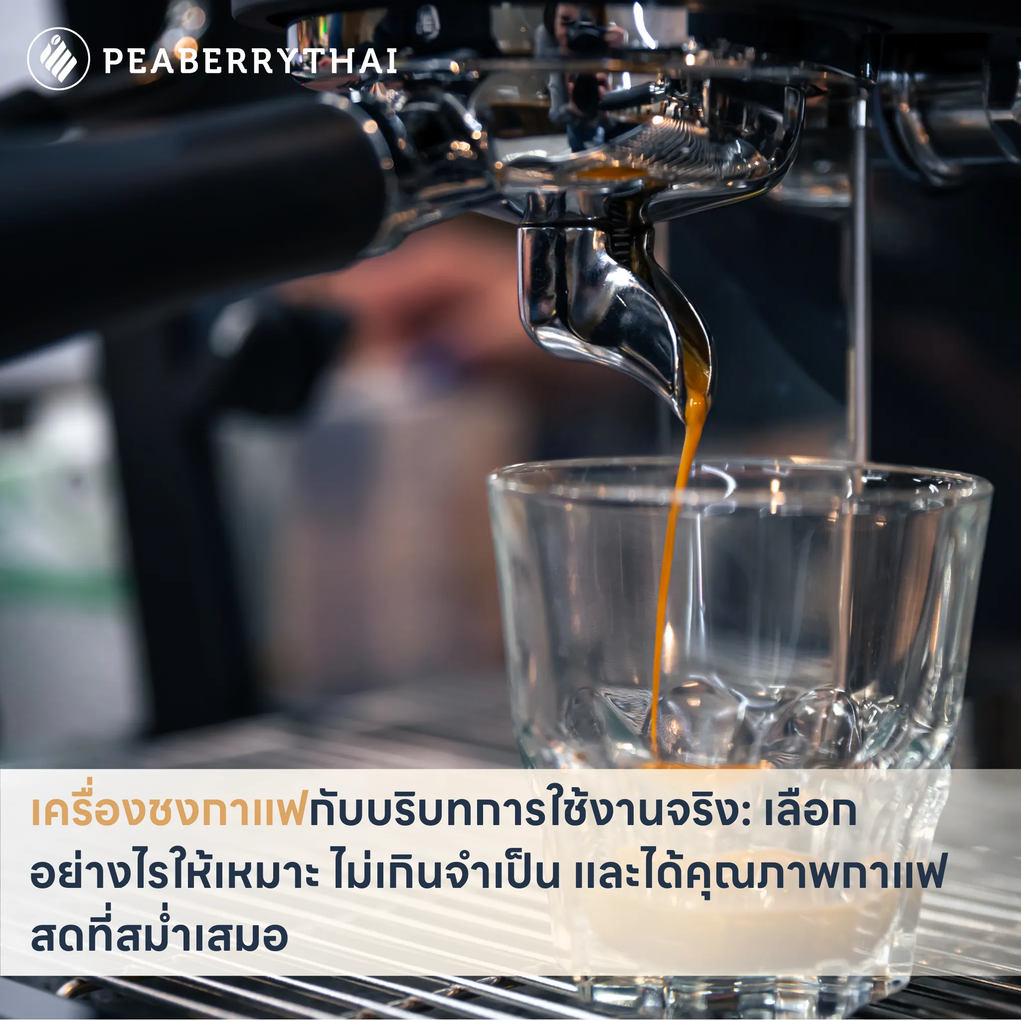 เครื่องชงกาแฟกับบริบทการใช้งานจริง: เลือกอย่างไรให้เหมาะ ไม่เกินจำเป็น และได้คุณภาพกาแฟสดที่สม่ำเสมอ