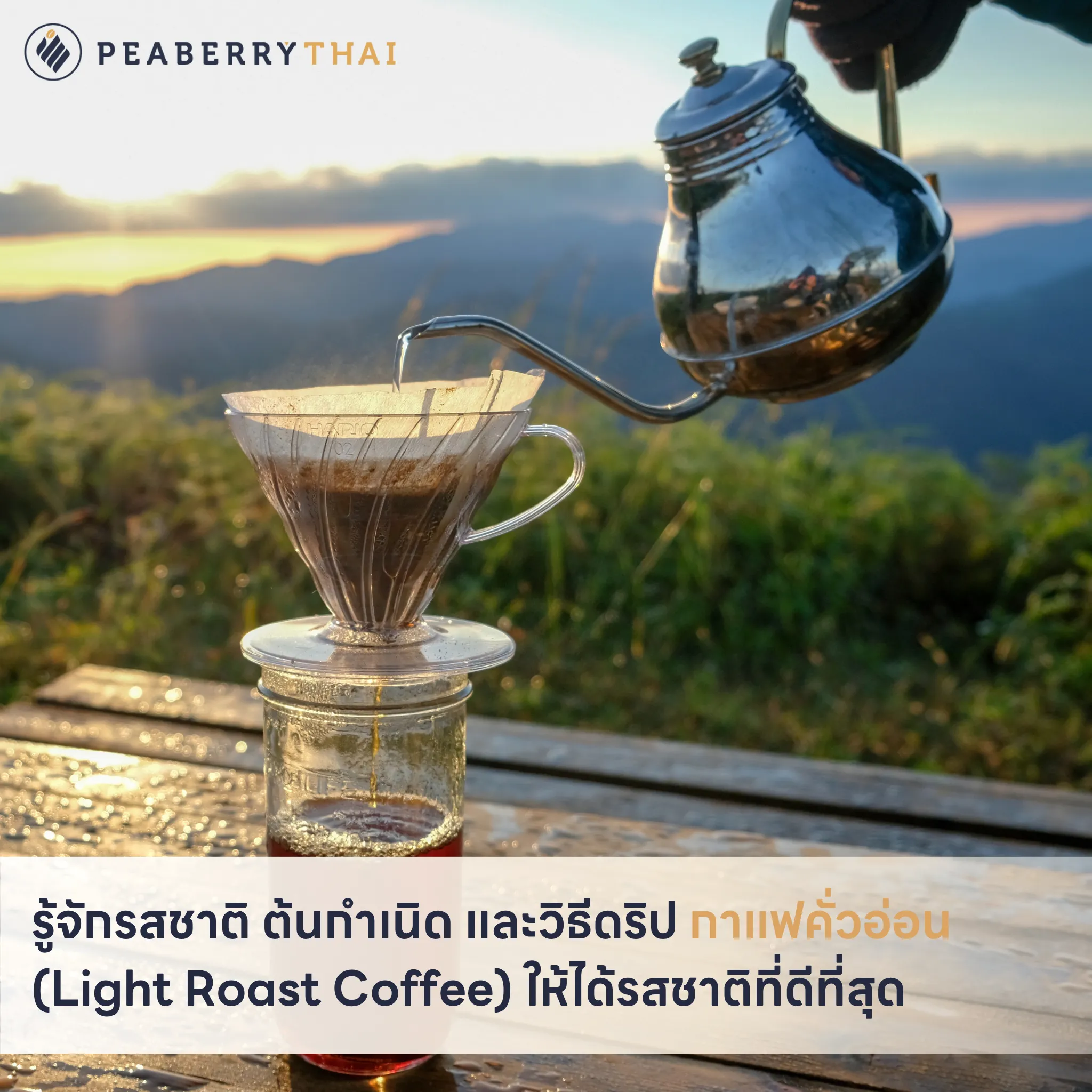 รู้จักรสชาติ ต้นกำเนิด และวิธีดริป กาแฟคั่วอ่อน (Light Roast Coffee) ให้ได้รสชาติที่ดีที่สุด
