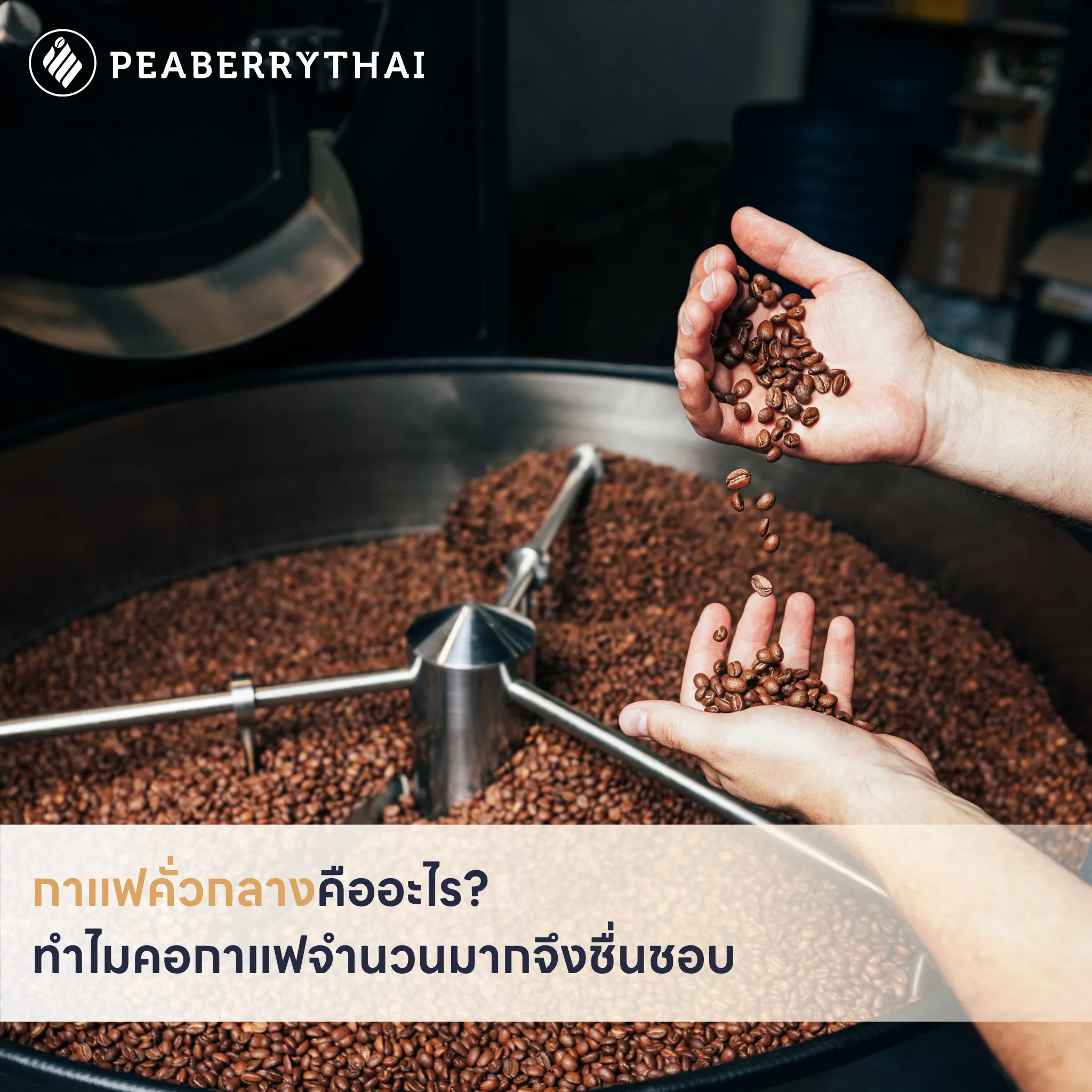 กาแฟคั่วกลางคืออะไร_ ทำไมคอกาแฟจำนวนมากจึงชื่นชอบ