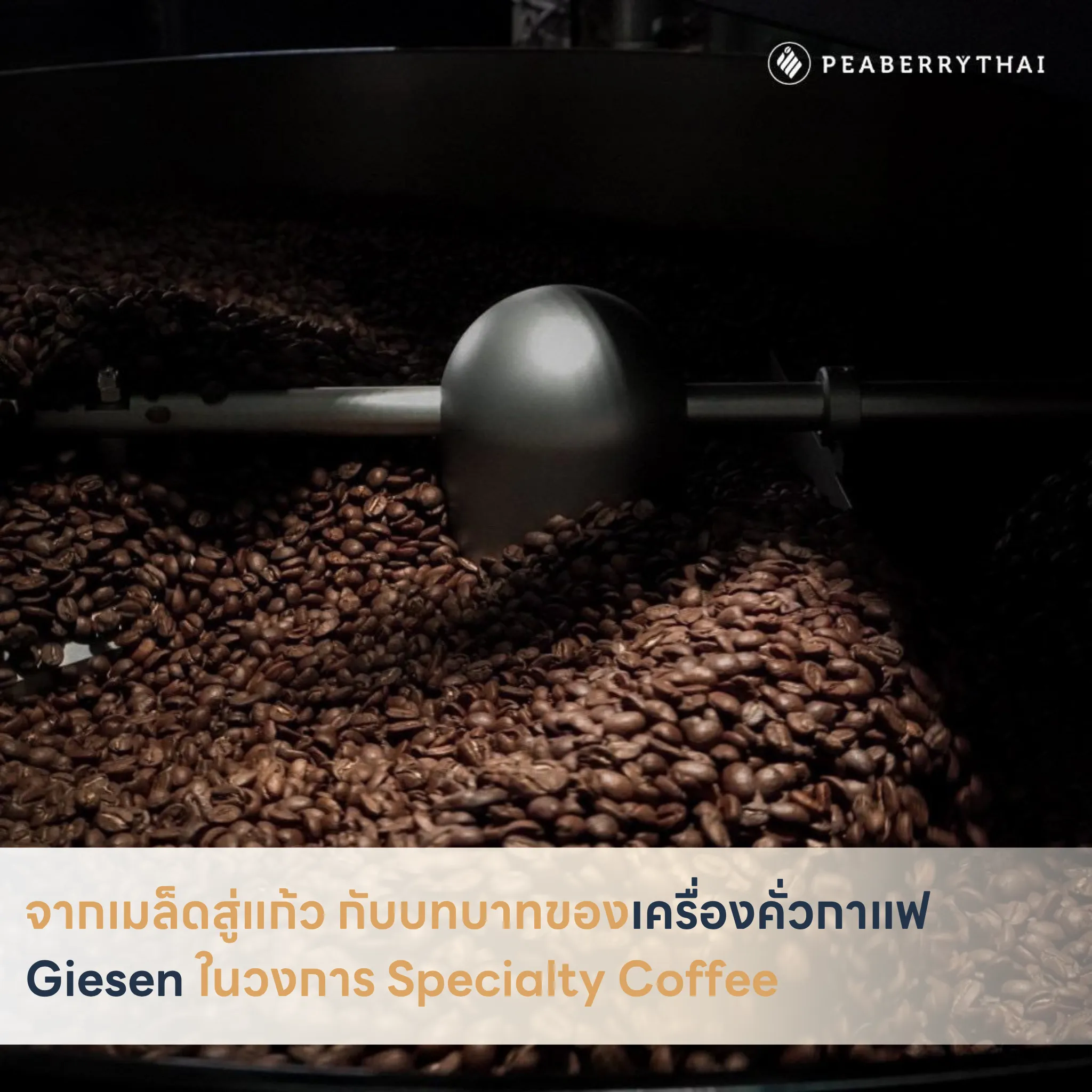 จากเมล็ดสู่แก้ว กับบทบาทของเครื่องคั่วกาแฟ Giesen ในวงการ Specialty Coffee