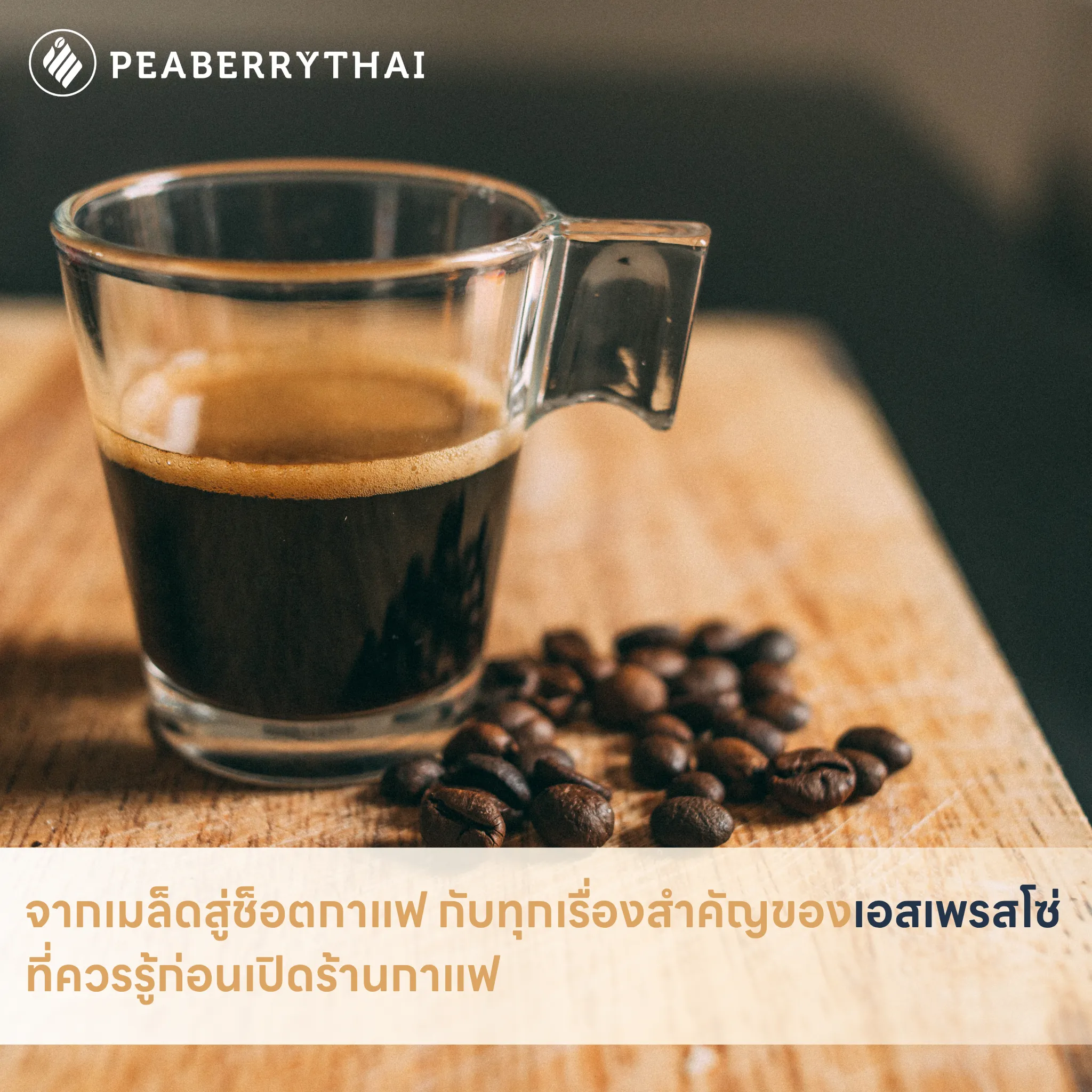 จากเมล็ดสู่ช็อตกาแฟ กับทุกเรื่องสำคัญของเอสเพรสโซ่ที่ควรรู้ก่อนเปิดร้านกาแฟ